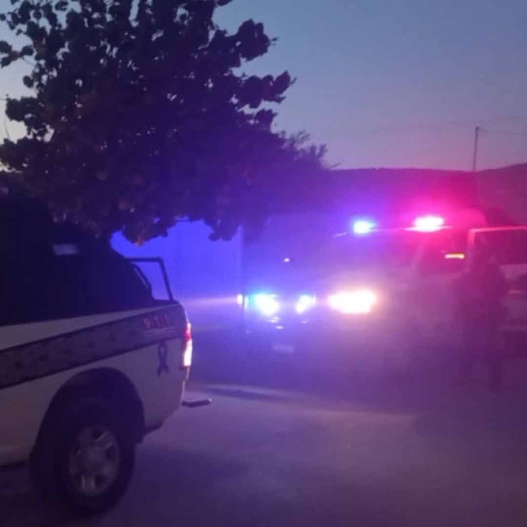 Adolescente Mata a Gato con Rifle de Postas en Gómez Palacio